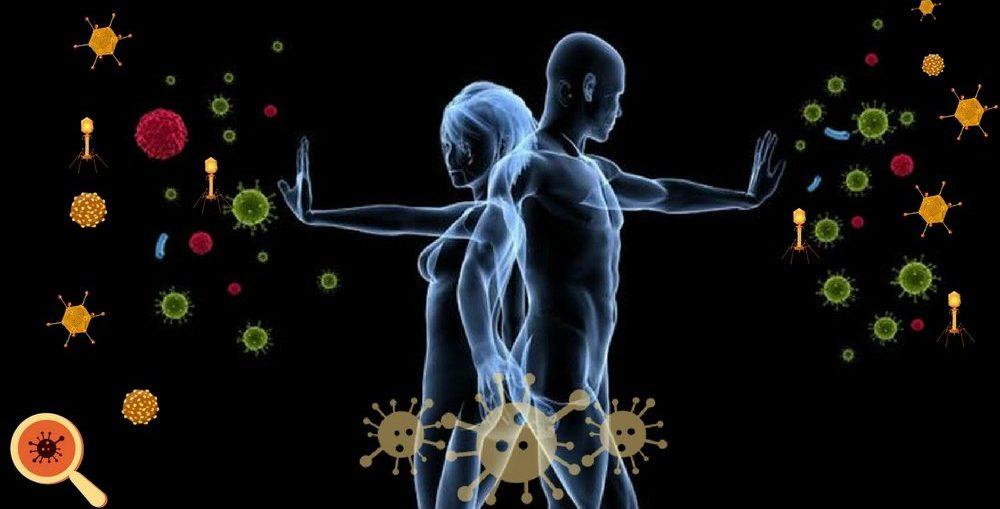 Sistema imunológico: o que é, como funciona e resposta imune